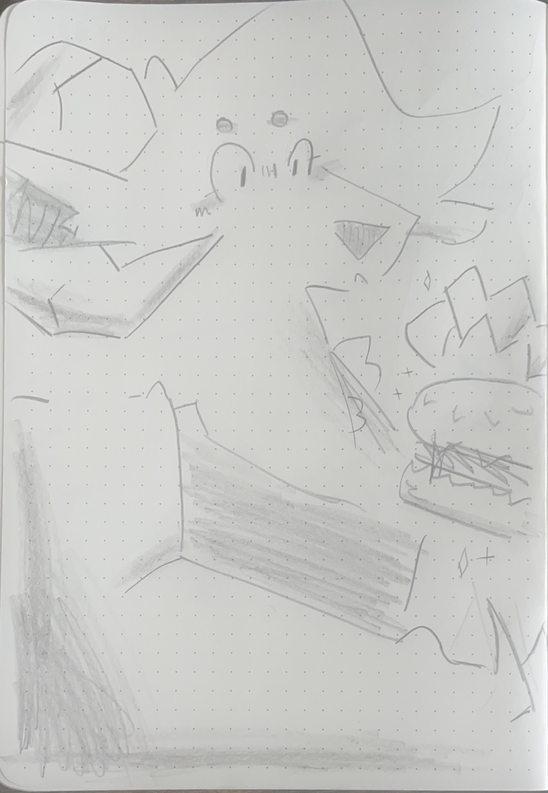 pencil sketch